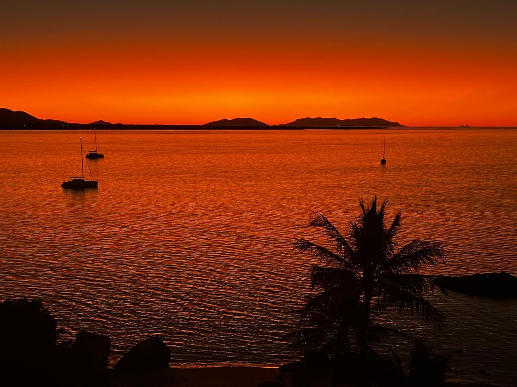 Coral Cove Apartments - Absolute Beachfront Resort Боуэн Экстерьер фото