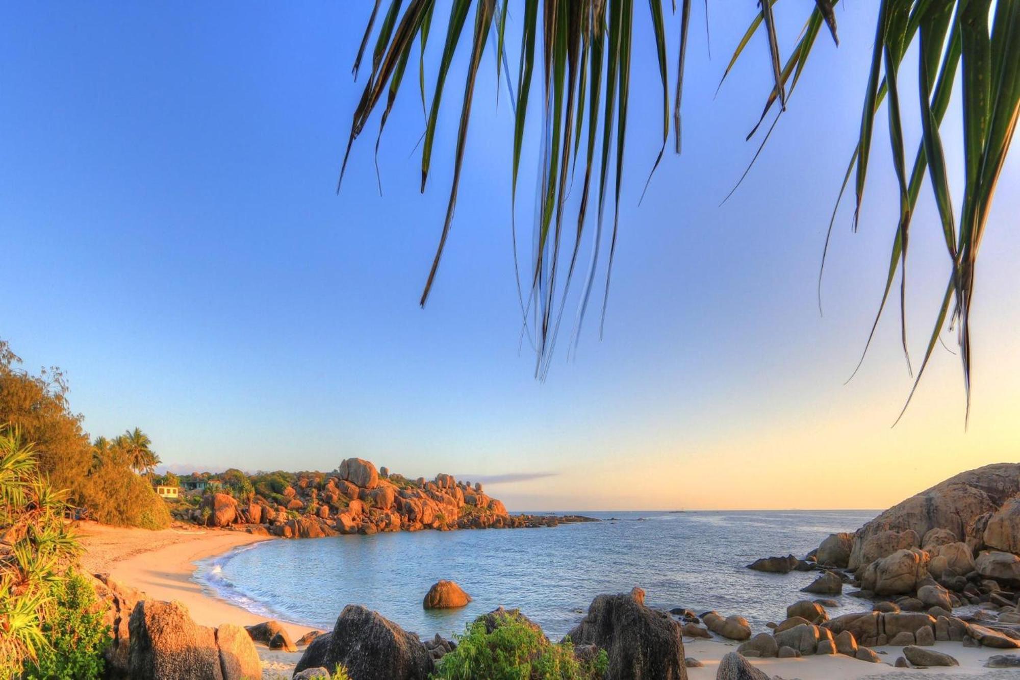 Coral Cove Apartments - Absolute Beachfront Resort Боуэн Экстерьер фото