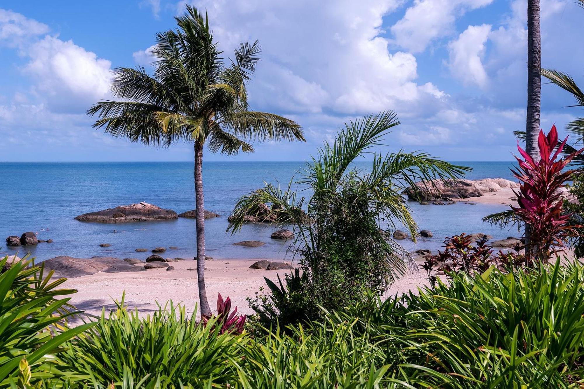 Coral Cove Apartments - Absolute Beachfront Resort Боуэн Экстерьер фото